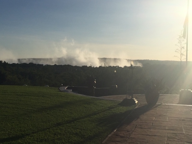 5 Questions with a Loon – Donna Byrne