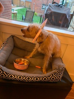 5 Questions with a Loon – Robert Duncan